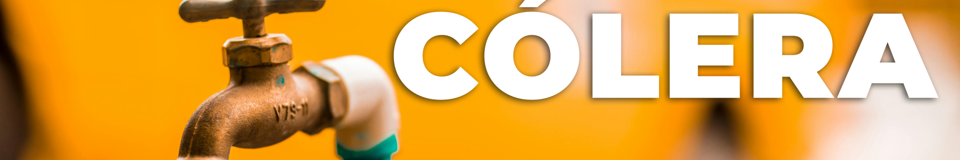 Cólera: o que é, e quais são os sintomas?